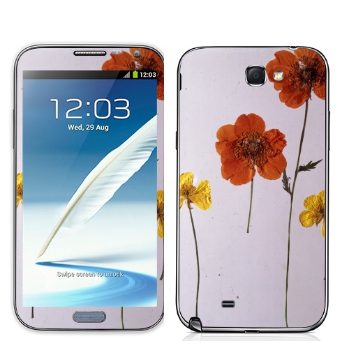 Наклейка на Телефон Samsung Galaxy Note 2 Ромашки,  купить в Москве – интернет-магазин Allskins, цветы, ромашки, фотография, натуральное, без фотошопа
