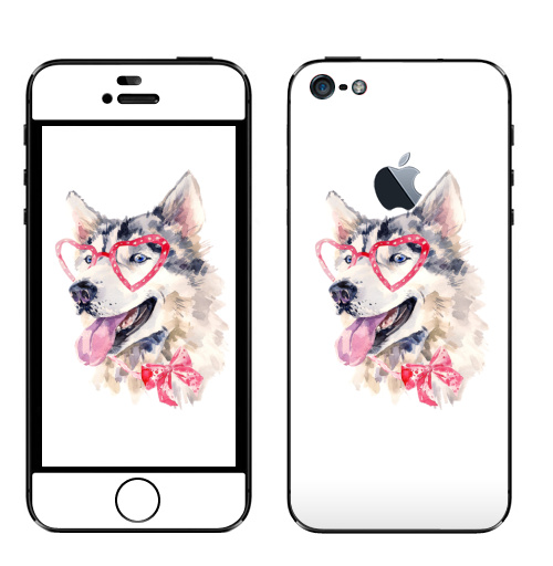 Наклейка на Телефон Apple iPhone 5 с яблоком Модная собака,  купить в Москве – интернет-магазин Allskins, крутые животные, милые животные, мило, хаски, розовый, очки, акварель, собаки, детские