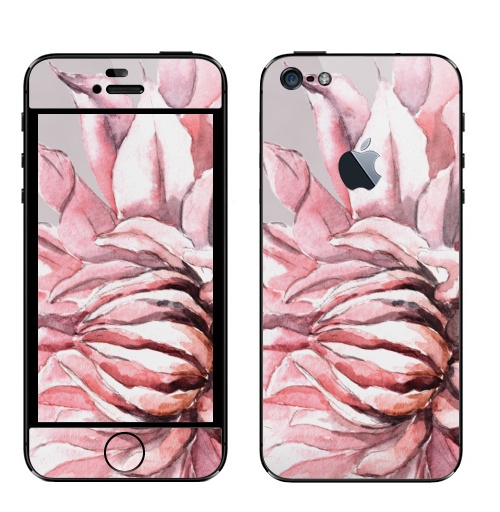 Наклейка на Телефон Apple iPhone 5 с яблоком Георгины,  купить в Москве – интернет-магазин Allskins, акварель, пастель, пастельный, пастельные, нежно, розовый, георгин, сиреневый, крупный, запечатка