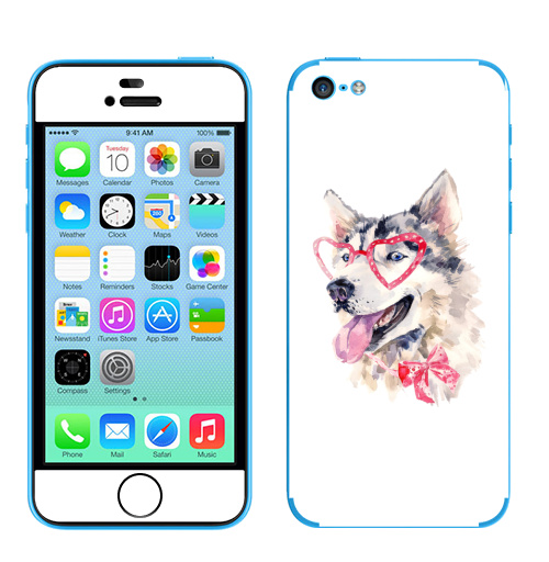 Наклейка на Телефон Apple iPhone 5C Модная собака,  купить в Москве – интернет-магазин Allskins, крутые животные, милые животные, мило, хаски, розовый, очки, акварель, собаки, детские