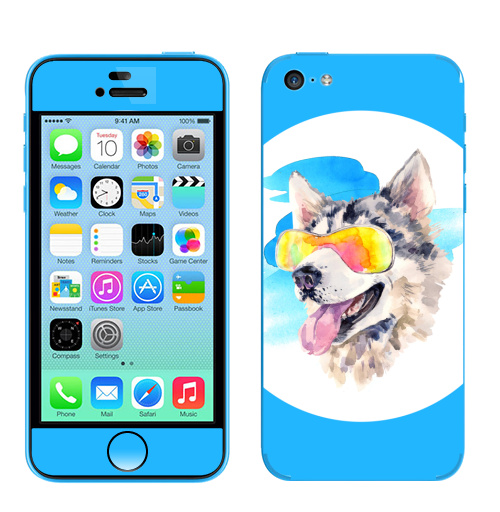 Наклейка на Телефон Apple iPhone 5C Хаски сноубордист,  купить в Москве – интернет-магазин Allskins, крутые животные, мило, животные, персонажи, собаки, хаски, акварель, детские, соба, милые животные