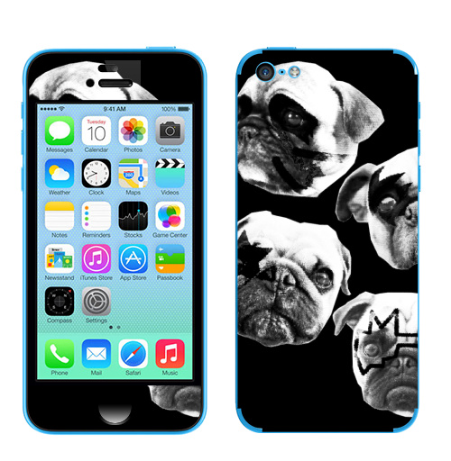 Наклейка на Телефон Apple iPhone 5C Мопсс,  купить в Москве – интернет-магазин Allskins, крутые животные, животные, Мопс, собаки, группа, музыка, милые животные, рокнролл