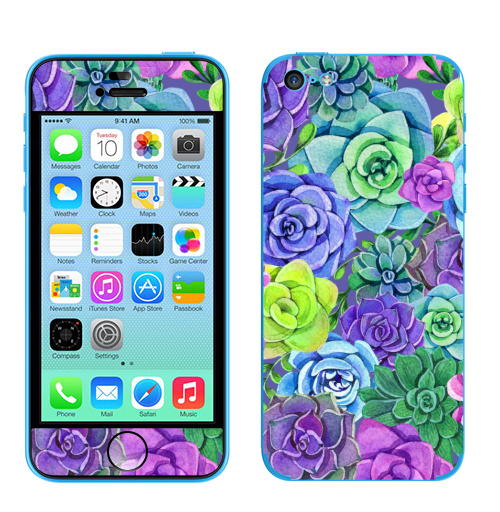 Наклейка на Телефон Apple iPhone 5C Акварельные суккуленты,  купить в Москве – интернет-магазин Allskins, суккулент, суккуленты, акварель, цветы, разноцветное, цвет