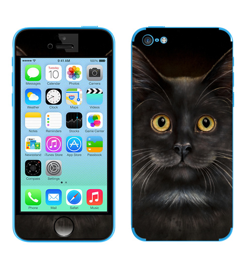 Наклейка на Телефон Apple iPhone 5C Желтоглазый кот,  купить в Москве – интернет-магазин Allskins, милые животные, животные, усы, кошка, глаз