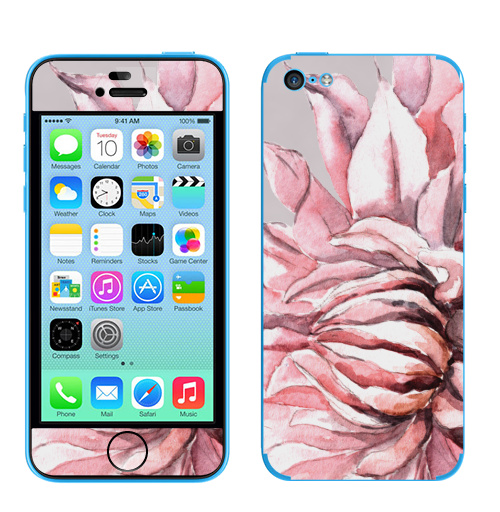Наклейка на Телефон Apple iPhone 5C Георгины,  купить в Москве – интернет-магазин Allskins, акварель, пастель, пастельный, пастельные, нежно, розовый, георгин, сиреневый, крупный, запечатка
