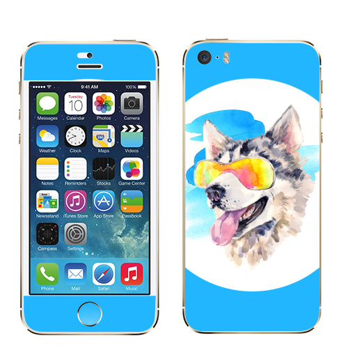 Наклейка на Телефон Apple iPhone 5S, 5SE Хаски сноубордист,  купить в Москве – интернет-магазин Allskins, крутые животные, мило, животные, персонажи, собаки, хаски, акварель, детские, соба, милые животные