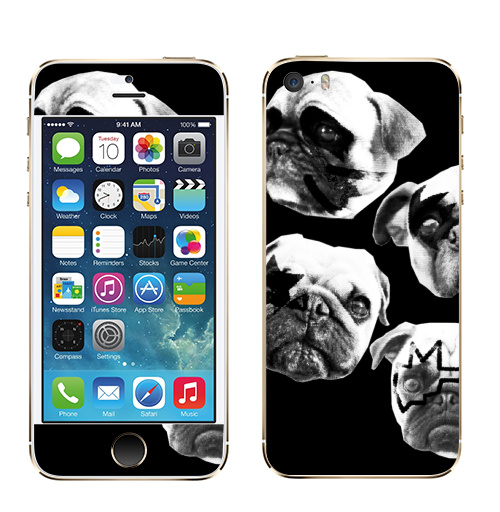 Наклейка на Телефон Apple iPhone 5S, 5SE Мопсс,  купить в Москве – интернет-магазин Allskins, крутые животные, животные, Мопс, собаки, группа, музыка, милые животные, рокнролл