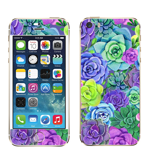 Наклейка на Телефон Apple iPhone 5S, 5SE Акварельные суккуленты,  купить в Москве – интернет-магазин Allskins, суккулент, суккуленты, акварель, цветы, разноцветное, цвет