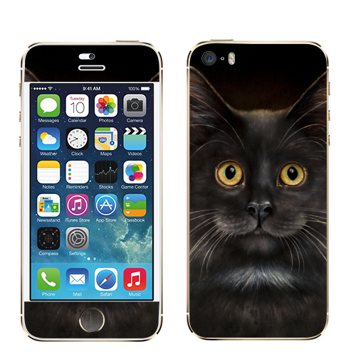 Наклейка на Телефон Apple iPhone 5S, 5SE Желтоглазый кот,  купить в Москве – интернет-магазин Allskins, милые животные, животные, усы, кошка, глаз