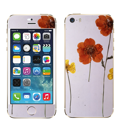 Наклейка на Телефон Apple iPhone 5S, 5SE Ромашки,  купить в Москве – интернет-магазин Allskins, цветы, ромашки, фотография, натуральное, без фотошопа