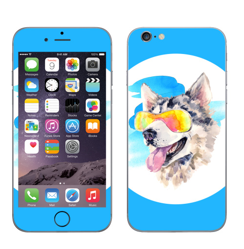 Наклейка на Телефон Apple iPhone 6, 6s Хаски сноубордист,  купить в Москве – интернет-магазин Allskins, крутые животные, мило, животные, персонажи, собаки, хаски, акварель, детские, соба, милые животные