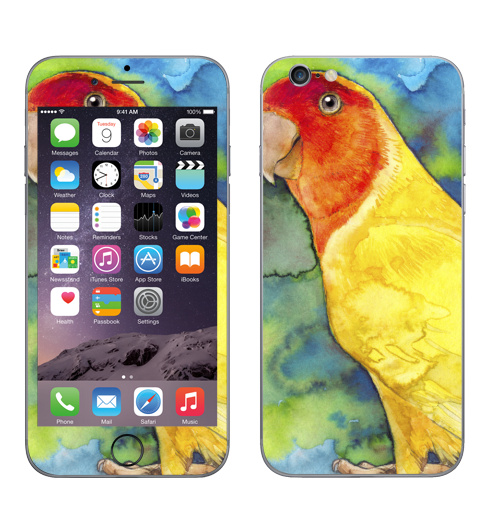 Наклейка на Телефон Apple iPhone 6, 6s Розовощекий попугайчик,  купить в Москве – интернет-магазин Allskins, природа, птицы, экзотика, желтый, красный, зеленые, джунгли, листья