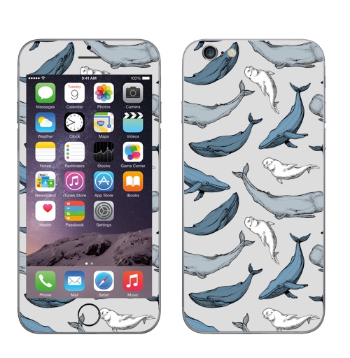 Наклейка на Телефон Apple iPhone 6, 6s Киты повсюду,  купить в Москве – интернет-магазин Allskins, вода, океаны, синий, серый, горбатый, кашалот, паттерн, морская, киты
