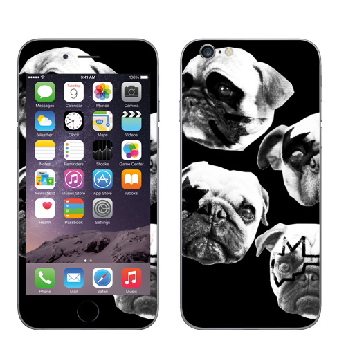 Наклейка на Телефон Apple iPhone 6, 6s Мопсс,  купить в Москве – интернет-магазин Allskins, крутые животные, животные, Мопс, собаки, группа, музыка, милые животные, рокнролл