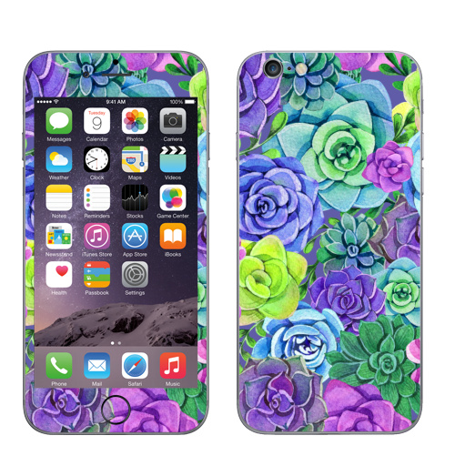 Наклейка на Телефон Apple iPhone 6, 6s Акварельные суккуленты,  купить в Москве – интернет-магазин Allskins, суккулент, суккуленты, акварель, цветы, разноцветное, цвет
