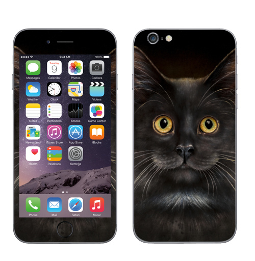 Наклейка на Телефон Apple iPhone 6, 6s Желтоглазый кот,  купить в Москве – интернет-магазин Allskins, милые животные, животные, усы, кошка, глаз