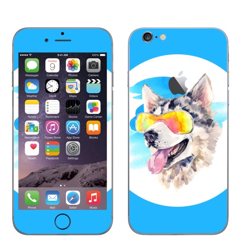Наклейка на Телефон Apple iPhone 6 с яблоком Хаски сноубордист,  купить в Москве – интернет-магазин Allskins, крутые животные, мило, животные, персонажи, собаки, хаски, акварель, детские, соба, милые животные