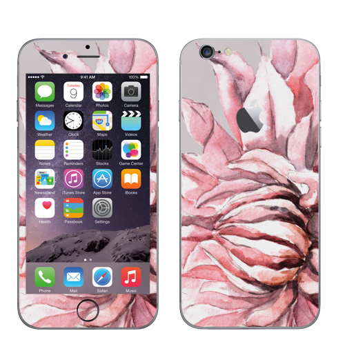 Наклейка на Телефон Apple iPhone 6 с яблоком Георгины,  купить в Москве – интернет-магазин Allskins, акварель, пастель, пастельный, пастельные, нежно, розовый, георгин, сиреневый, крупный, запечатка