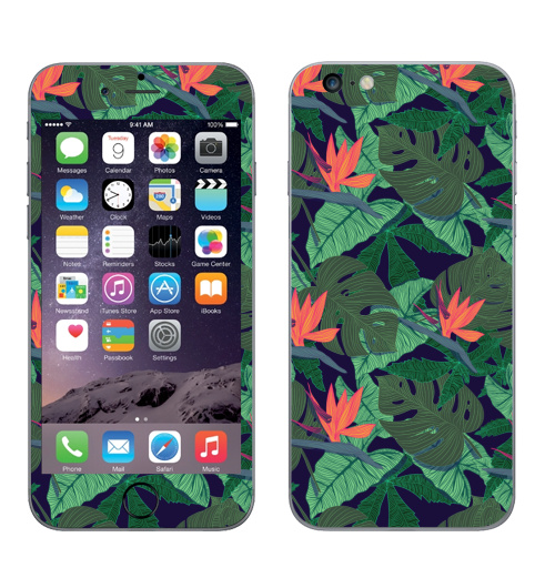 Наклейка на Телефон Apple iPhone 6 plus Тропический паттерн,  купить в Москве – интернет-магазин Allskins, сочный, монстера, птицы, рай, цветы, текстура, паттерн, джунгли, тропики