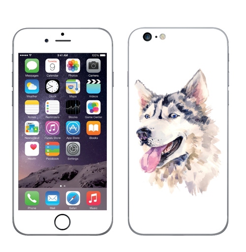 Наклейка на Телефон Apple iPhone 6 plus Собака хаски,  купить в Москве – интернет-магазин Allskins, мило, животные, персонажи, собаки, хаски, акварель, детские