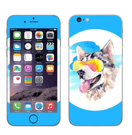 Наклейка на Телефон Apple iPhone 6 plus Хаски сноубордист,  купить в Москве – интернет-магазин Allskins, крутые животные, мило, животные, персонажи, собаки, хаски, акварель, детские, соба, милые животные