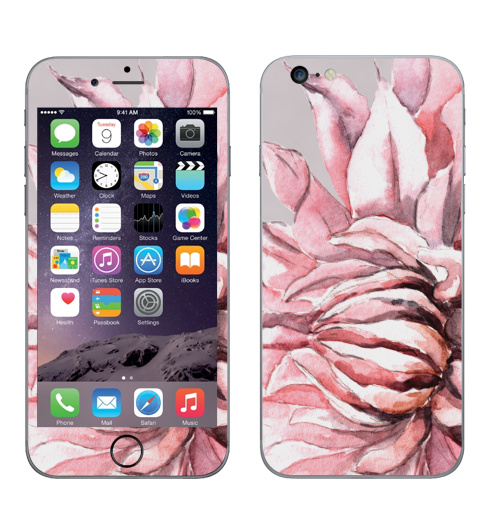 Наклейка на Телефон Apple iPhone 6 plus Георгины,  купить в Москве – интернет-магазин Allskins, акварель, пастель, пастельный, пастельные, нежно, розовый, георгин, сиреневый, крупный, запечатка