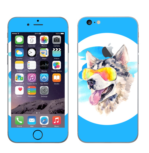 Наклейка на Телефон Apple iPhone 6 plus с яблоком Хаски сноубордист,  купить в Москве – интернет-магазин Allskins, крутые животные, мило, животные, персонажи, собаки, хаски, акварель, детские, соба, милые животные