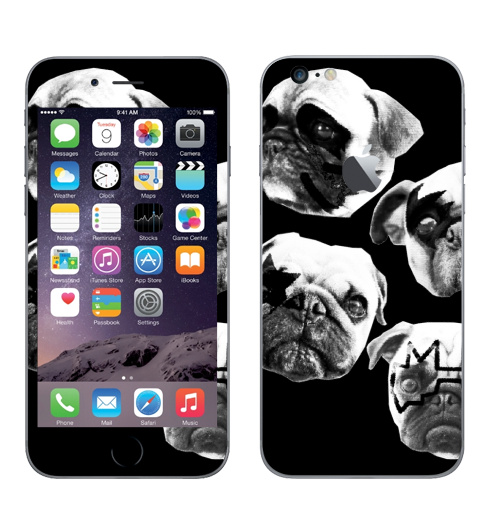 Наклейка на Телефон Apple iPhone 6 plus с яблоком Мопсс,  купить в Москве – интернет-магазин Allskins, крутые животные, животные, Мопс, собаки, группа, музыка, милые животные, рокнролл