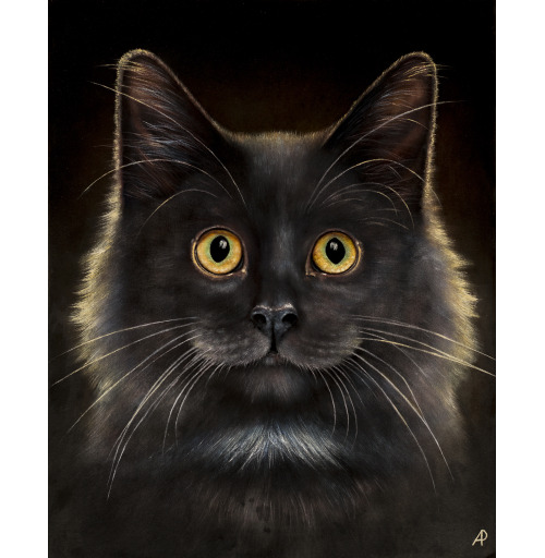Наклейка на Планшет Apple 2019 – iPad 10,2&quot; Желтоглазый кот,  купить в Москве – интернет-магазин Allskins, милые животные, животные, усы, кошка, глаз