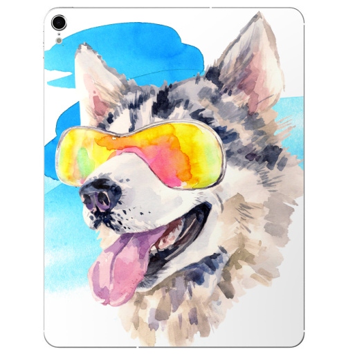 Наклейка на Планшет Apple iPad Pro 2015-2018 Хаски сноубордист,  купить в Москве – интернет-магазин Allskins, крутые животные, мило, животные, персонажи, собаки, хаски, акварель, детские, соба, милые животные