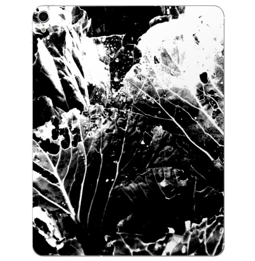 Наклейка на Планшет Apple iPad Pro 2015-2018 Растительное,  купить в Москве – интернет-магазин Allskins, черно-белое, лесной, природа, листья, Темная, черный, графика, растительный, растение