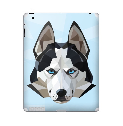 Наклейка на Планшет Apple iPad 5 2017-2018 Хаски лед,  купить в Москве – интернет-магазин Allskins, 300 Лучших работ, хаски, полигоны, собаки, животные, графика