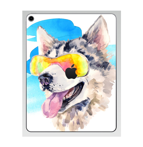 Наклейка на Планшет Apple iPad 7 2019 Хаски сноубордист,  купить в Москве – интернет-магазин Allskins, крутые животные, мило, животные, персонажи, собаки, хаски, акварель, детские, соба, милые животные
