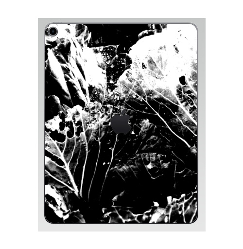 Наклейка на Планшет Apple iPad 7 2019 Растительное,  купить в Москве – интернет-магазин Allskins, черно-белое, лесной, природа, листья, Темная, черный, графика, растительный, растение