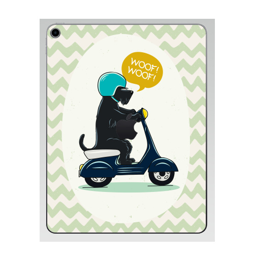 Наклейка на Планшет Apple iPad 7 2019 Скотч терьер на мопеде,  купить в Москве – интернет-магазин Allskins, милые животные, скотч, терьер, собаки, персонажи, мотоцикл, мопед, мило, животные