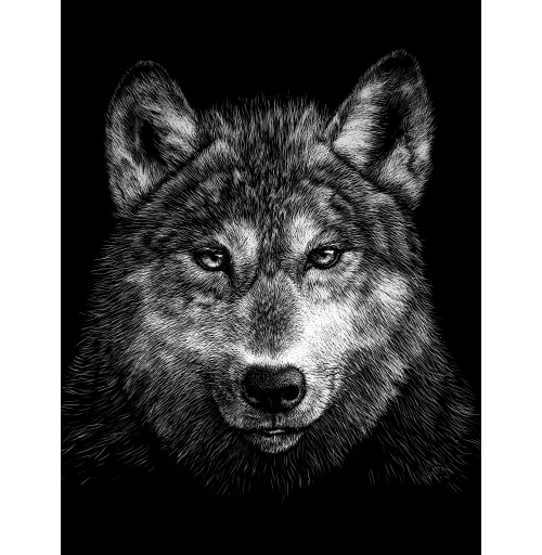 Наклейка на Планшет Apple iPad Pro 11 (2nd Gen) 2020 A2228 Волчище,  купить в Москве – интернет-магазин Allskins, морда, животные, волк, полностьючерный, 300 Лучших работ