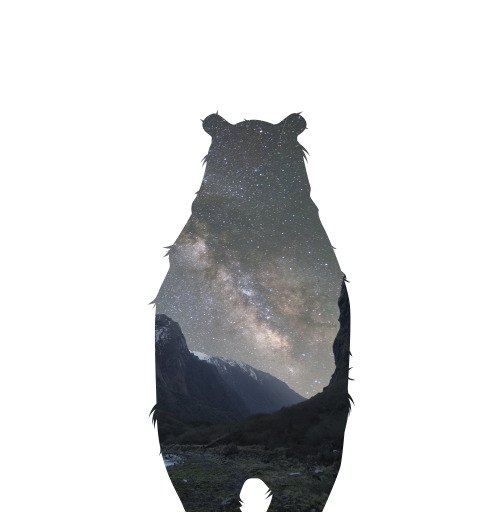 Наклейка на Планшет Apple iPad Pro 12.9 (2020) A2232 Космический медведь,  купить в Москве – интернет-магазин Allskins, крутые животные, нежно, космос, мило, медведь, детские, пейзаж, настроение, милые животные