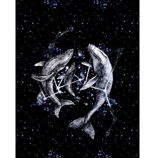 Наклейка на Планшет Apple iPad Pro 12.9 (2020) A2232 Межгалактические киты,  купить в Москве – интернет-магазин Allskins, полностьючерный, небо, животные, ночь, звезда, космос, киты