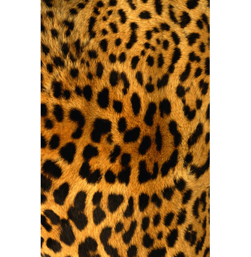 Наклейка на Планшет Apple iPad Pro 12.9 (2020) A2232 Леопардовое манто,  купить в Москве – интернет-магазин Allskins, леопард, текстура, паттерн, 300 Лучших работ