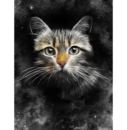 Наклейка на Планшет Apple iPad Pro 12.9 (2020) A2232 Кот,  купить в Москве – интернет-магазин Allskins, кошка, глаз, звезда, космос