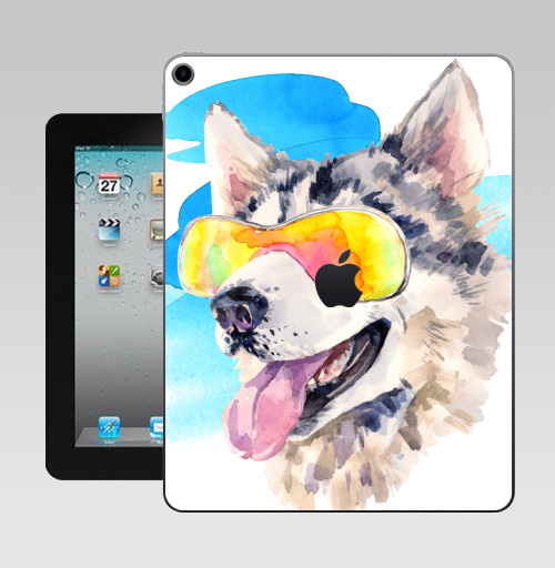 Наклейка на Планшет Apple iPad 10.2 Gen 8 Wi-Fi Хаски сноубордист,  купить в Москве – интернет-магазин Allskins, крутые животные, мило, животные, персонажи, собаки, хаски, акварель, детские, соба, милые животные