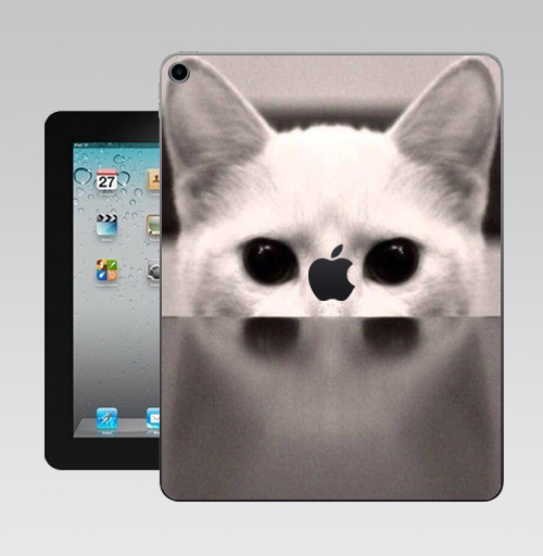 Наклейка на Планшет Apple iPad 10.2 Gen 8 Wi-Fi Сквозь...,  купить в Москве – интернет-магазин Allskins, черно-белый, киса, кошка, глаз, фотография