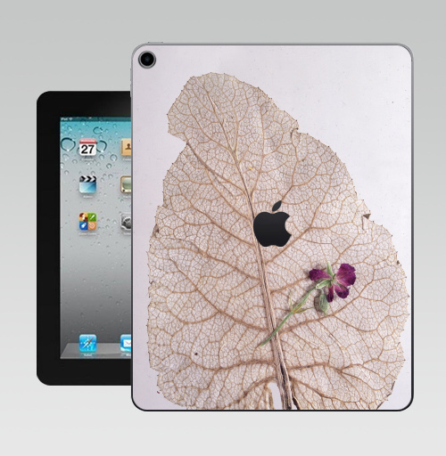 Наклейка на Планшет Apple iPad 10.2 Gen 8 Wi-Fi Папортник,  купить в Москве – интернет-магазин Allskins, цветы, листья, фотография, безобработки, лапух