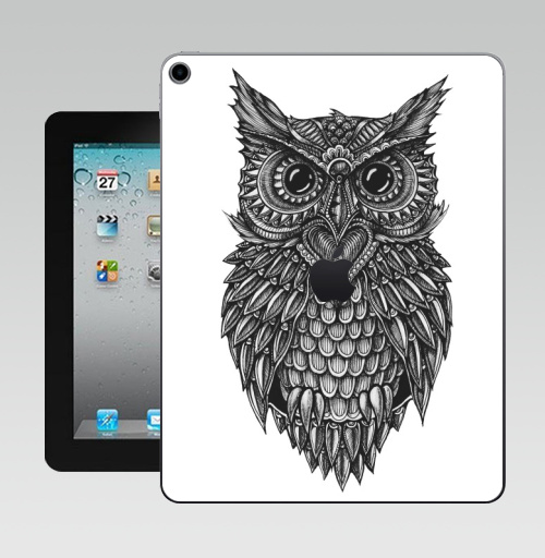 Наклейка на Планшет Apple iPad 10.2 Gen 8 Wi-Fi Совушка ЧБ,  купить в Москве – интернет-магазин Allskins, 300 Лучших работ, черный, графика, сова, черно-белое