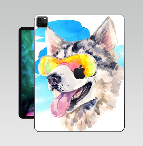 Наклейка на Планшет Apple iPad Pro 12.9 (2020) A2229 Хаски сноубордист,  купить в Москве – интернет-магазин Allskins, крутые животные, мило, животные, персонажи, собаки, хаски, акварель, детские, соба, милые животные