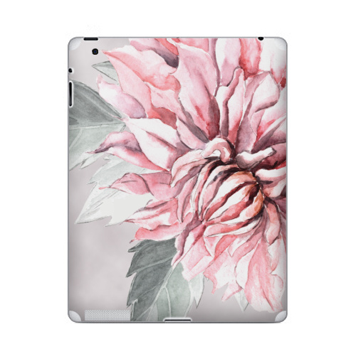 Наклейка на Планшет Apple iPad Георгины,  купить в Москве – интернет-магазин Allskins, акварель, пастель, пастельный, пастельные, нежно, розовый, георгин, сиреневый, крупный, запечатка