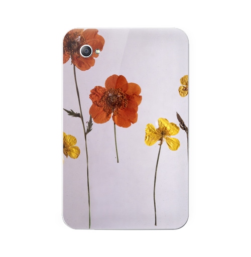 Наклейка на Планшет Samsung Galaxy Tab 7 (P1000) Ромашки,  купить в Москве – интернет-магазин Allskins, цветы, ромашки, фотография, натуральное, без фотошопа