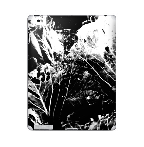 Наклейка на Планшет Apple iPad 2 / iPad 3 Растительное,  купить в Москве – интернет-магазин Allskins, черно-белое, лесной, природа, листья, Темная, черный, графика, растительный, растение
