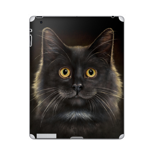 Наклейка на Планшет Apple iPad 2 / iPad 3 Желтоглазый кот,  купить в Москве – интернет-магазин Allskins, милые животные, животные, усы, кошка, глаз