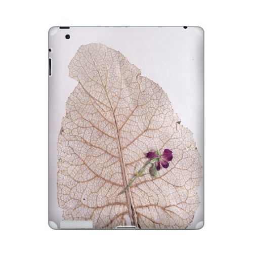 Наклейка на Планшет Apple iPad 2 / iPad 3 Папортник,  купить в Москве – интернет-магазин Allskins, цветы, листья, фотография, безобработки, лапух